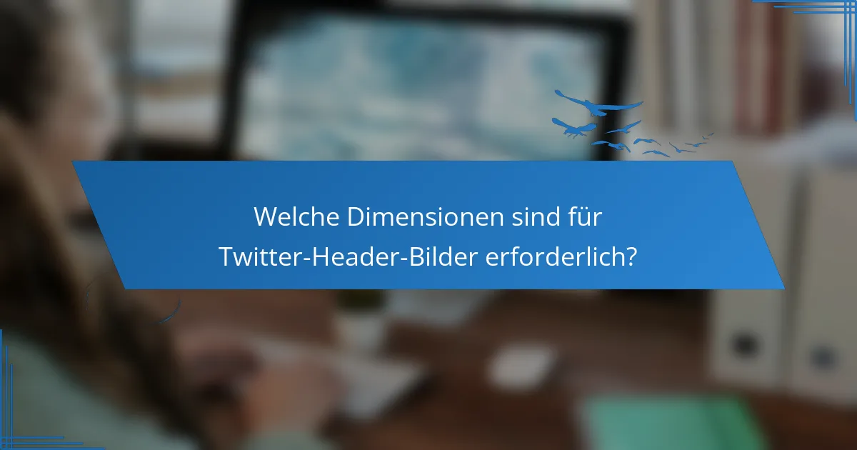 Welche Dimensionen sind für Twitter-Header-Bilder erforderlich?