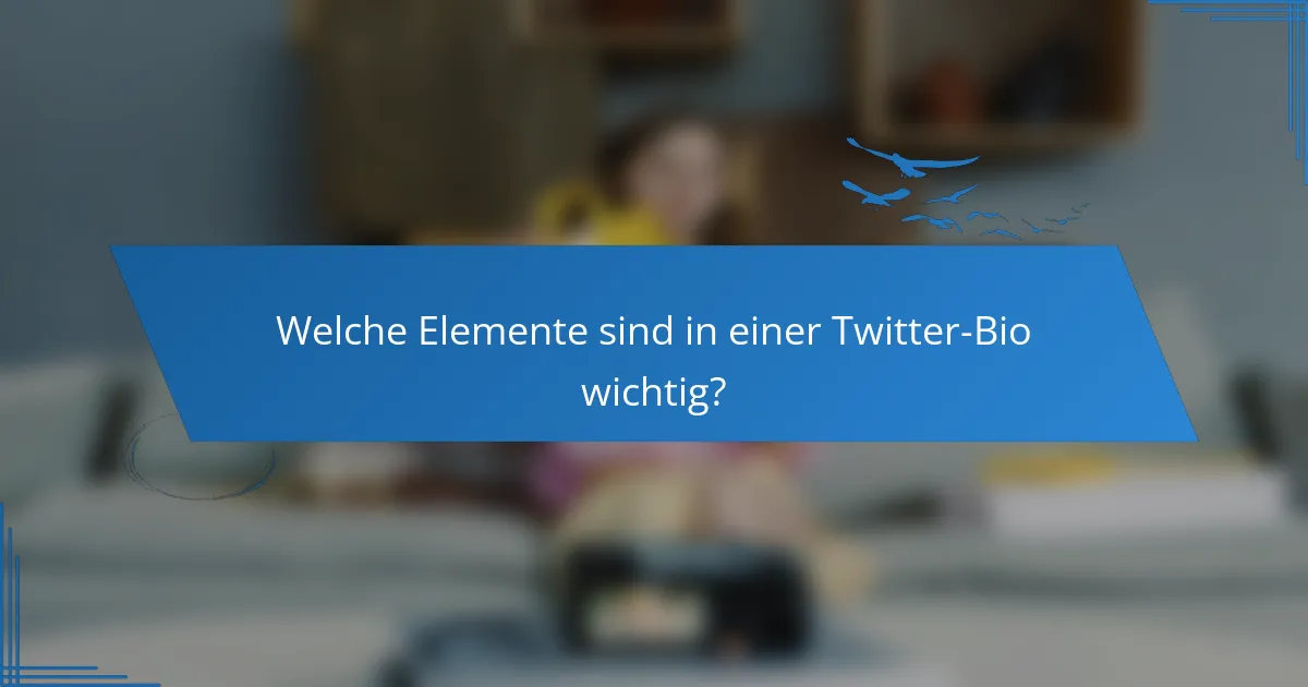 Welche Elemente sind in einer Twitter-Bio wichtig?