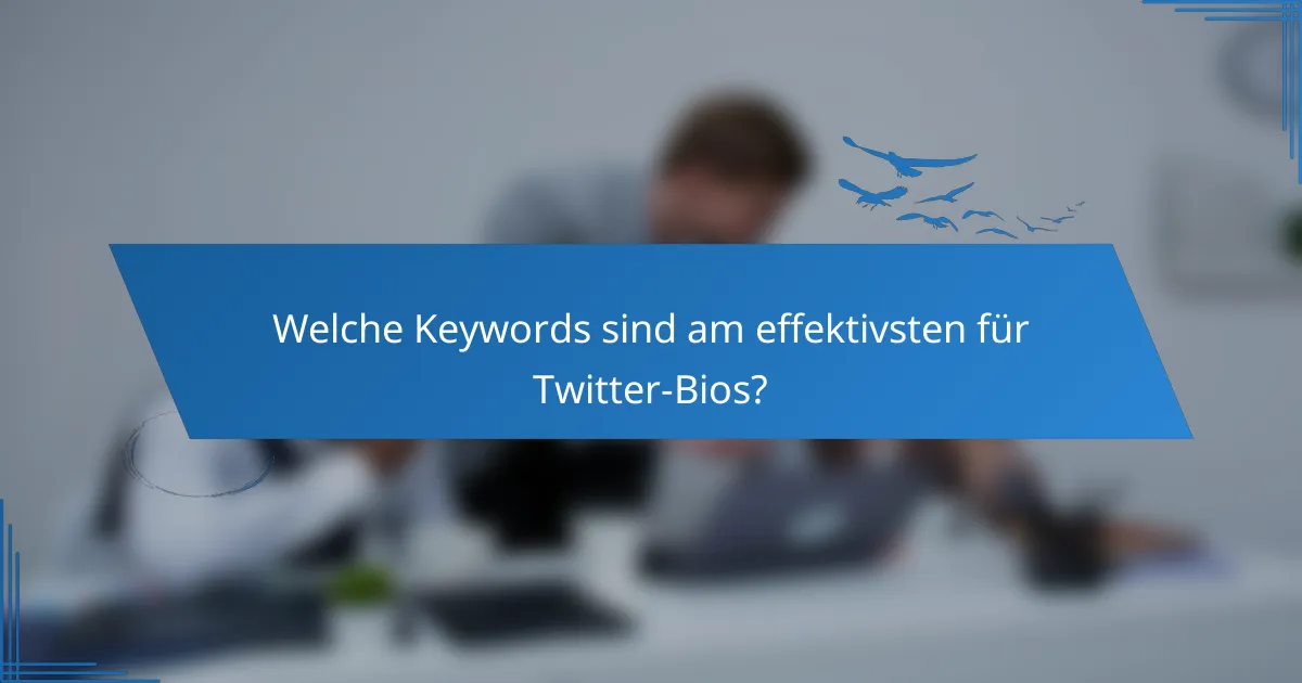 Welche Keywords sind am effektivsten für Twitter-Bios?