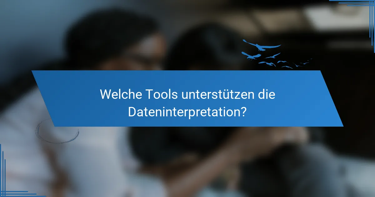 Welche Tools unterstützen die Dateninterpretation?