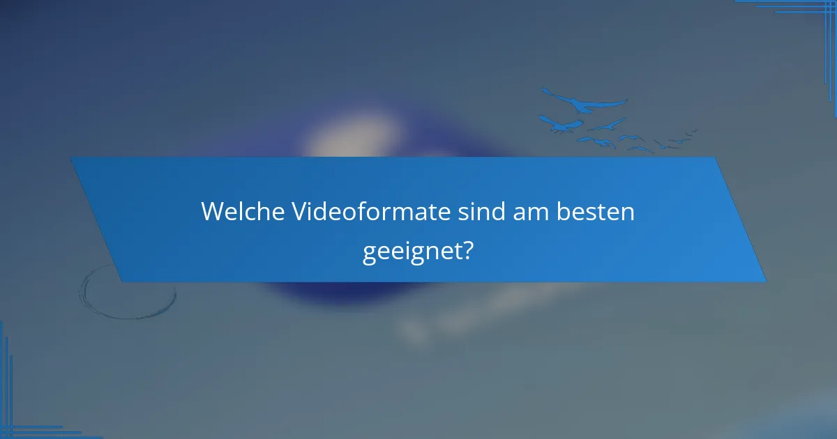 Welche Videoformate sind am besten geeignet?