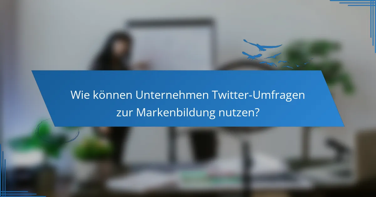 Wie können Unternehmen Twitter-Umfragen zur Markenbildung nutzen?